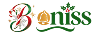Boniss store logo